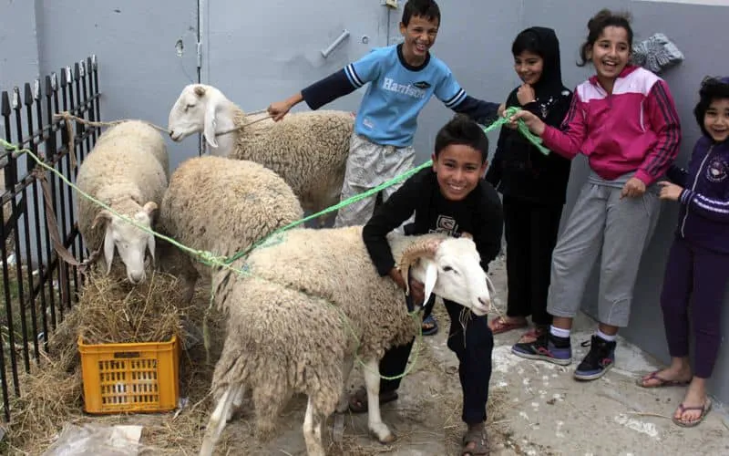 Le coronavirus empêche cette Marocaine de fêter l'Aïd au pays
