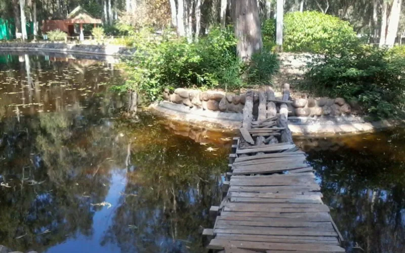  Forêt urbaine d'ibn Sina ou "hilton", un joyau touristique au centre de Rabat (vidéo)