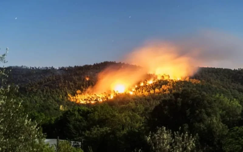  Incendies de forêt circonscrits à Fnideq et Chichaoua