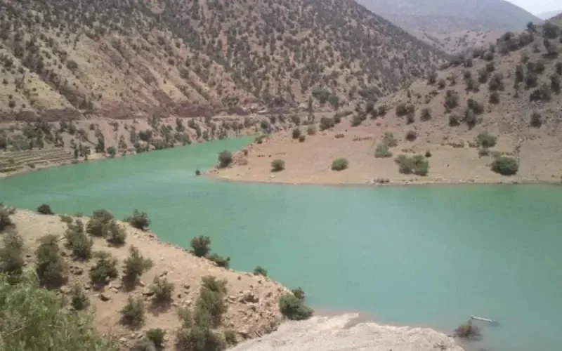 Fin tragique d'une jeune femme handicapée