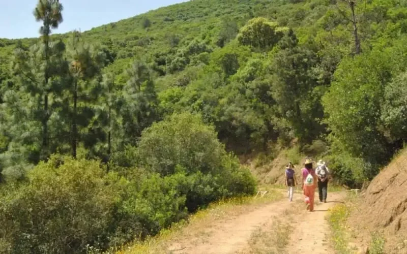 Maroc : des parcs fermés pour éviter la propagation du coronavirus