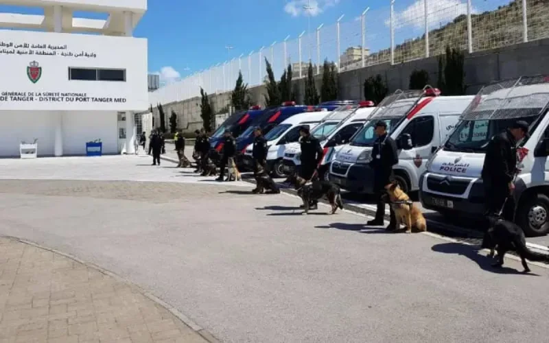 Deux policiers à Tanger-Med impliqués dans un vaste trafic de cannabis