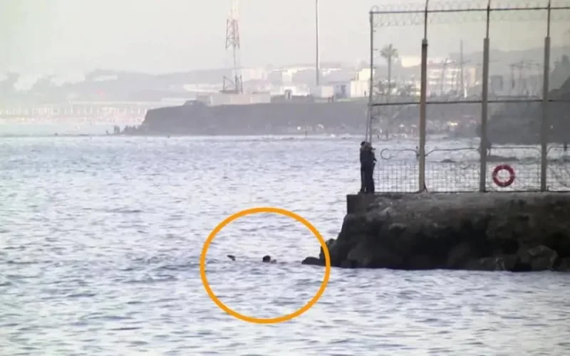 Sebta : une Marocaine brave la mer pour rejoindre le Maroc (vidéo)