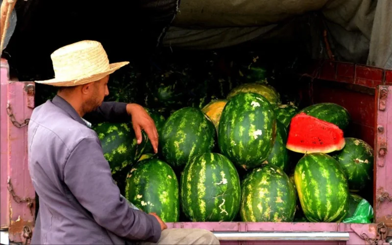 Le Maroc veut adopter rapidement l'AMO pour les indépendants