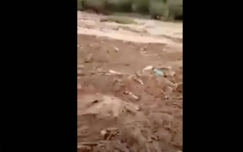 Taroudant sous les eaux (vidéo)