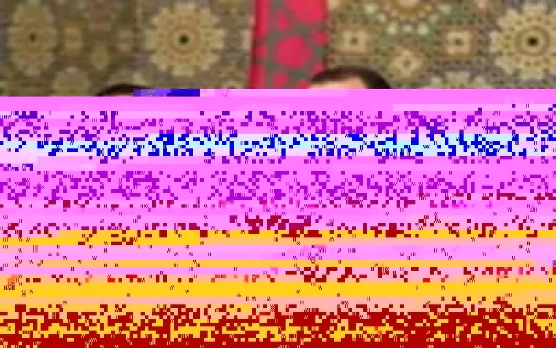 Le Roi octroie le droit de vote aux MRE