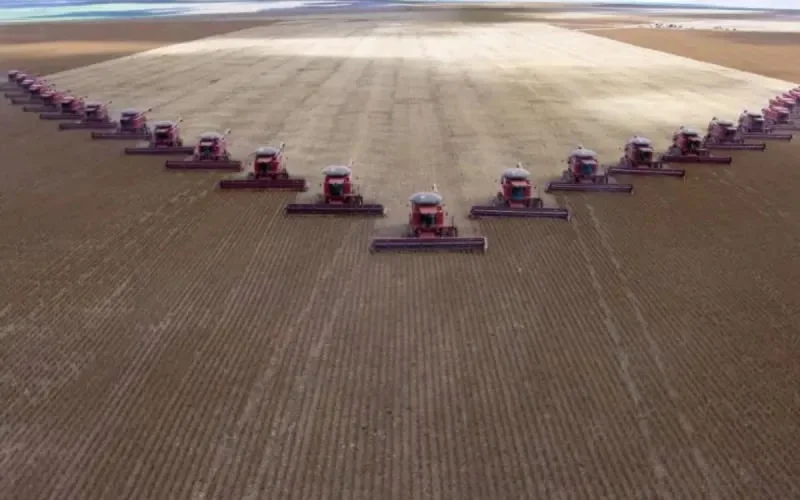 Le Brésil compte sur le Maroc pour booster son agriculture