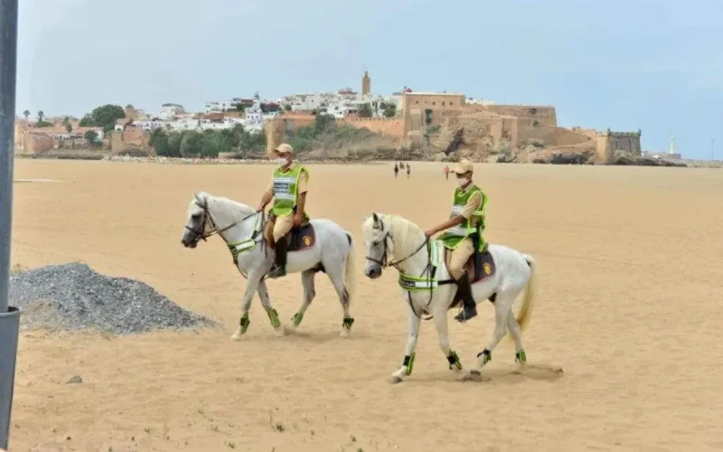 Covid-19 au Maroc : le bilan de ce samedi 12 septembre (détails)