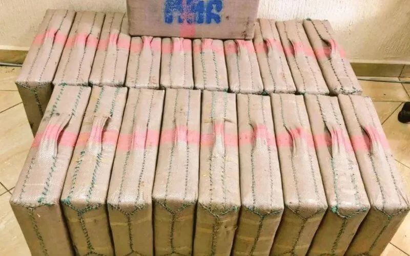 Arrestations pour trafic de cannabis à Agadir