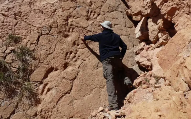 Maroc : un site paléontologique en danger