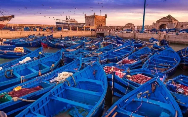 Grosses pertes pour le tourisme marocain