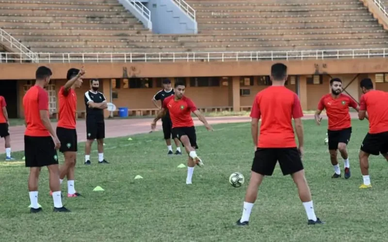 Football : deux sélectionneurs dans le viseur de Fouzi Lekjaa