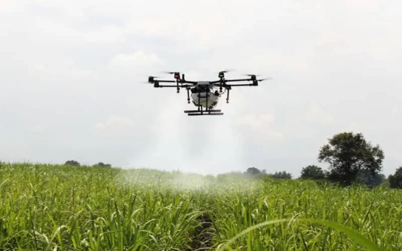 Le Maroc utilise de plus en plus de drones pour son agriculture