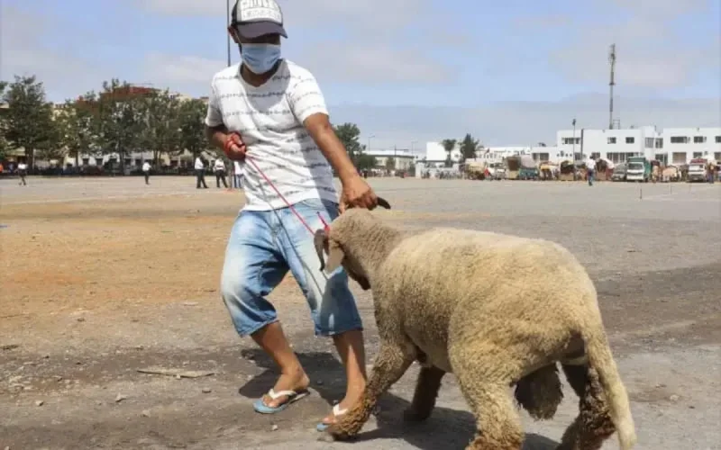 Aid Al Adha : Abdelouafi Laftit assume