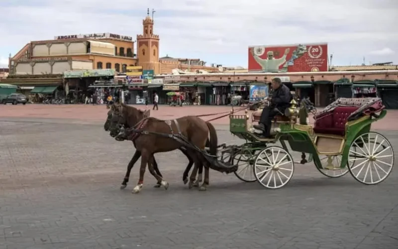 Maroc : les propositions du CESE pour sortir de la crise