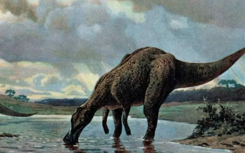 Un dinosaure américain trouvé au Maroc