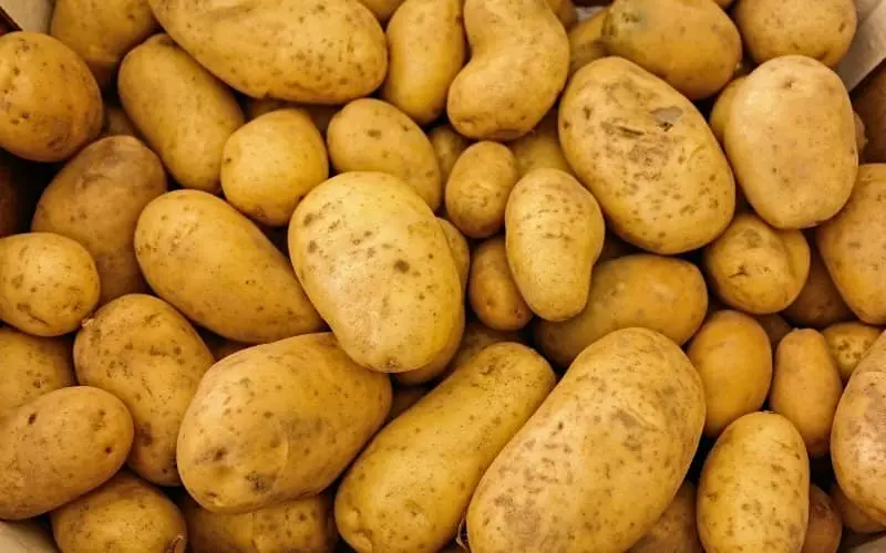 Pomme de terre : le Maroc passe d'exportateur à importateur