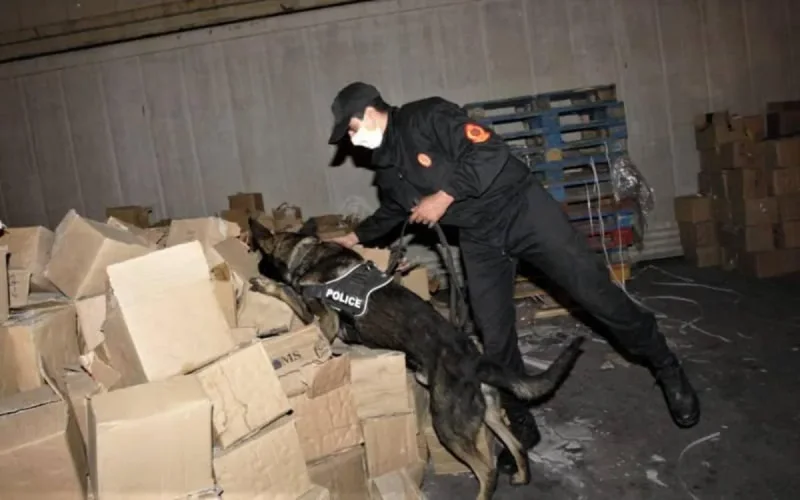 De la drogue à destination de l'Europe saisie au port de Casablanca 