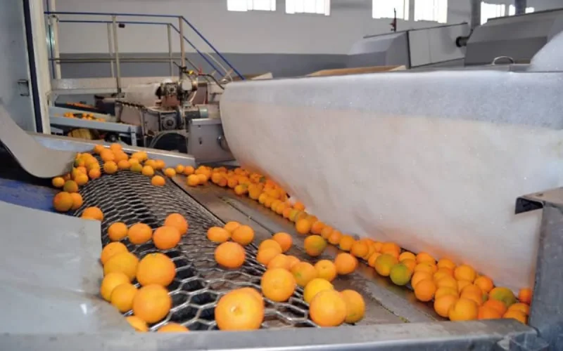 Maroc/Relance économique : le gouvernement accompagne l'agroalimentaire