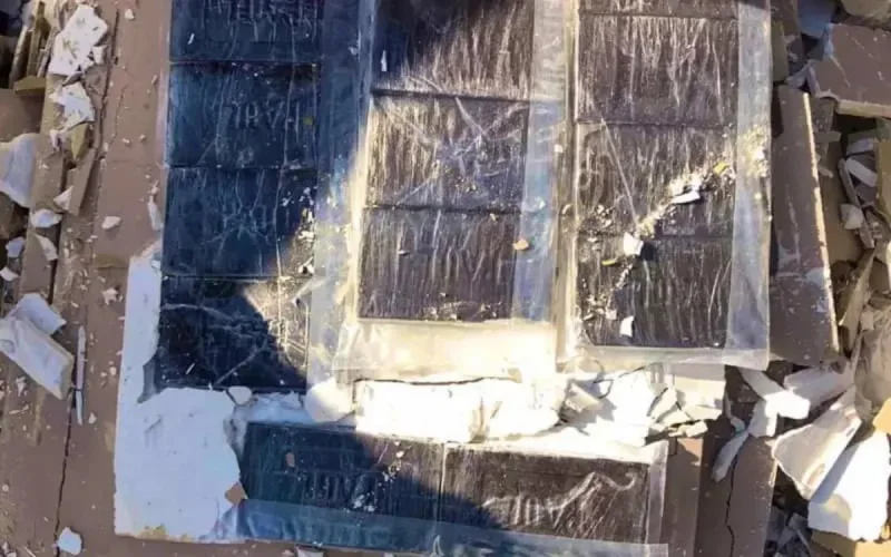 Grosse prise de chira au Port de Casablanca