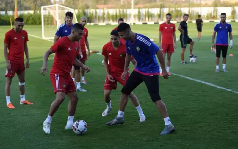 L'équipe marocaine de football n'a pas encore le niveau selon Halilhodzic