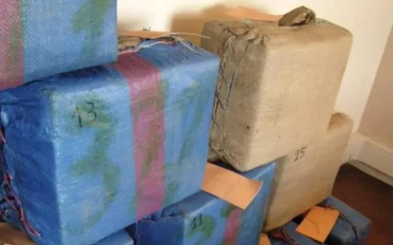 Une importante quantité de cannabis marocain saisie en Île-de-France