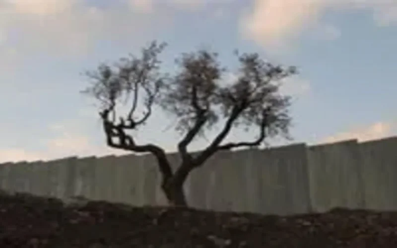 Imazighen et le conflit du Moyen Orient