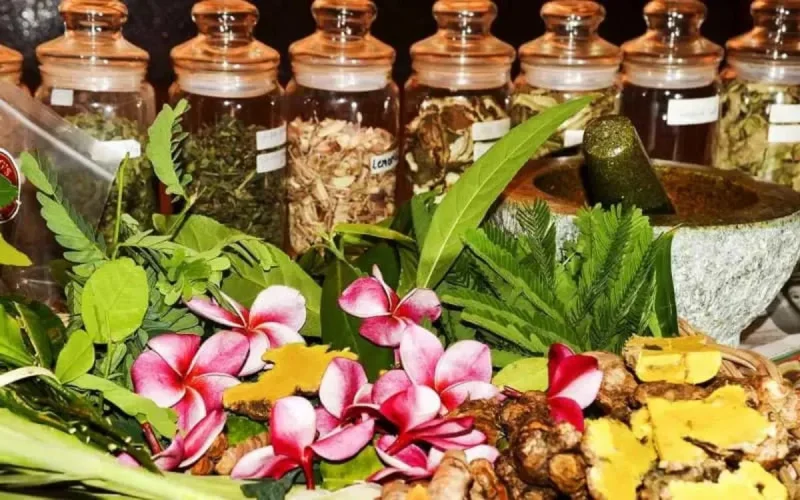 Le Maroc, 2ᵉ mondial en plantes aromatiques et médicinales