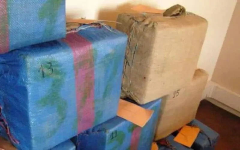 La police saisit plus de 4,6 tonnes de drogue à Assilah