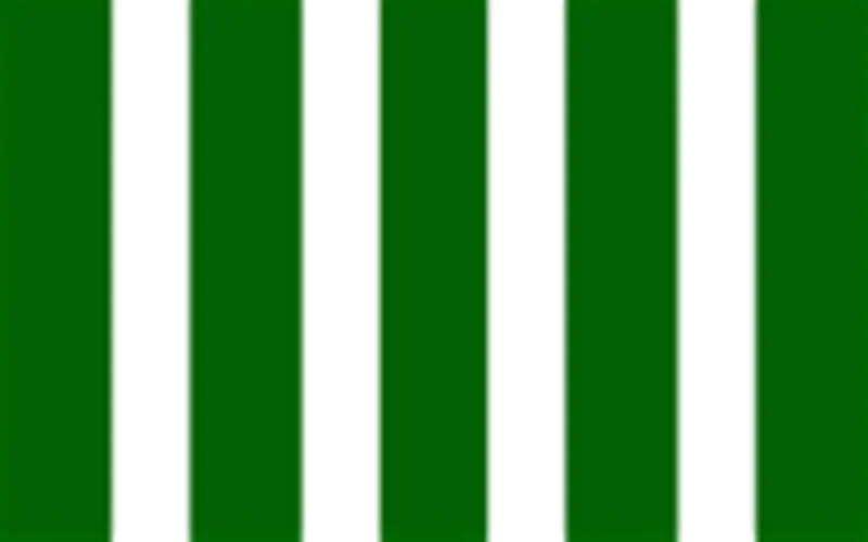 une Marocaine faite chevalier dans l'ordre des arts et lettres