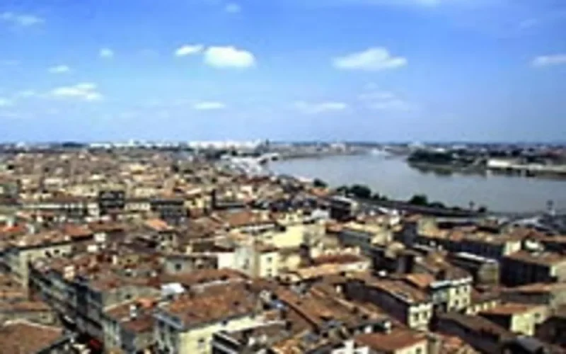 Des fleurs marocaines distribuées à Bordeaux