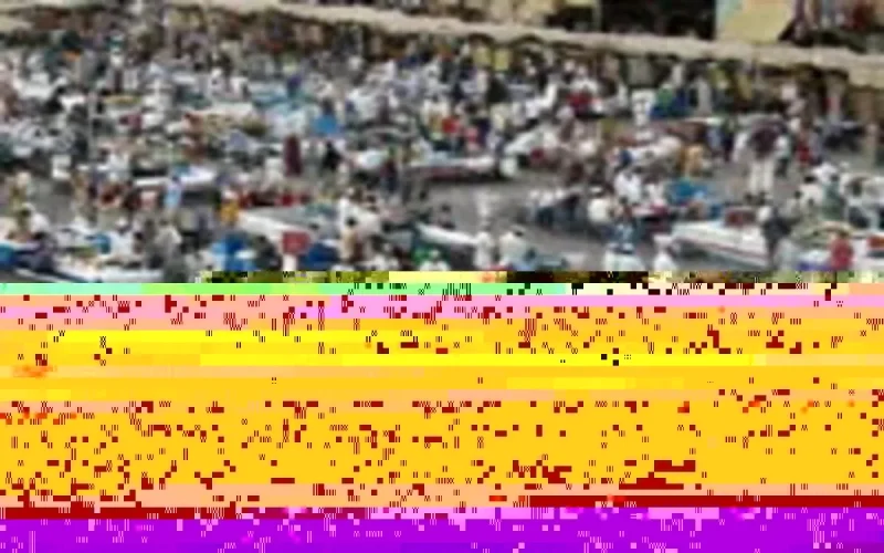 Marrakech, choux gras des TV françaises