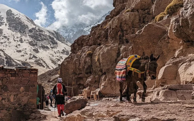 Maroc : il escalade le mont Toubkal pour honorer la mémoire de sa femme disparue