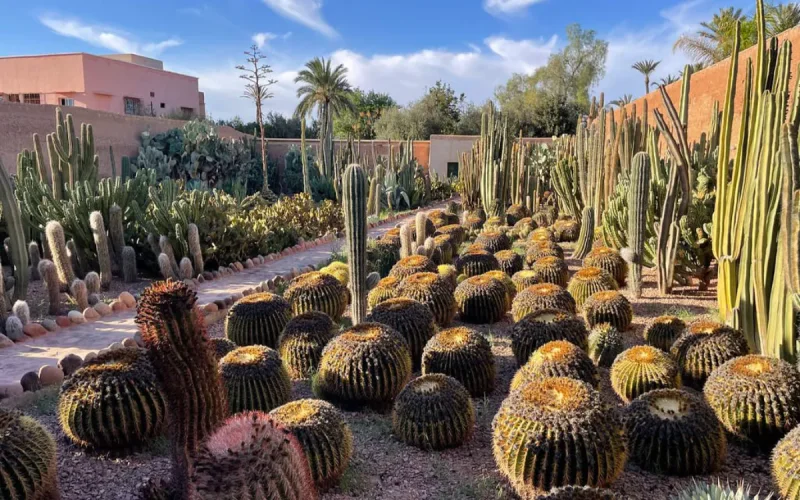 Maroc : le mystérieux retraité de Marrakech était recherché dans le monde entier