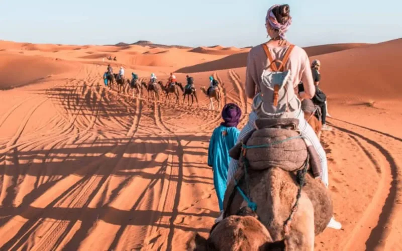 Tourisme : le SOS des entrepreneurs touristiques au Roi