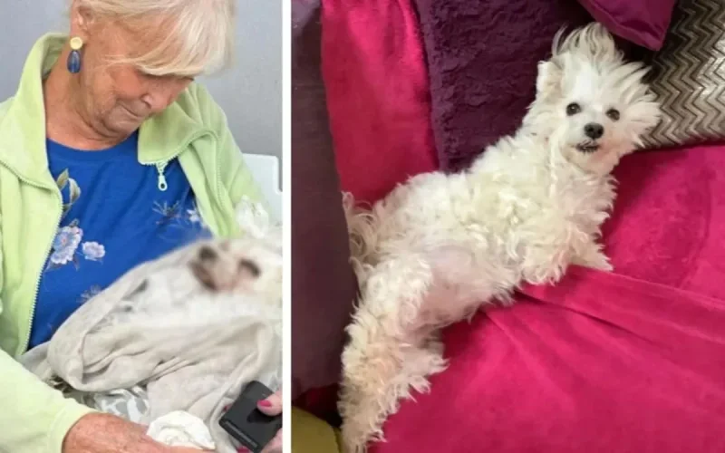 Vacances cauchemardesques pour une octogénaire belge au Maroc