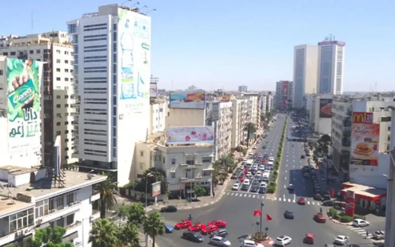 Casablanca met fin à la plantation de palmiers 