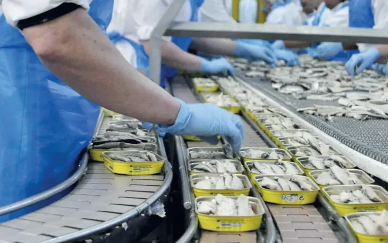 Le Brésil bloque la sardine marocaine