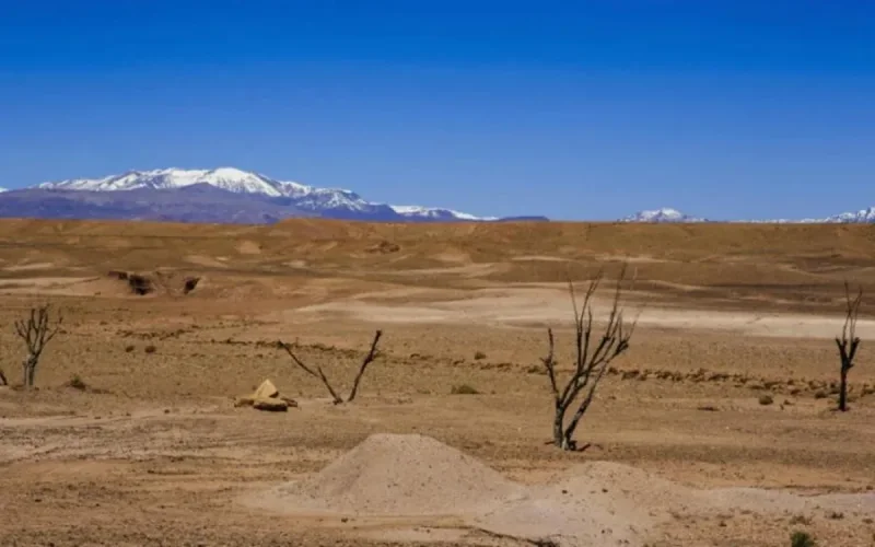 Maroc : le changement climatique à l'origine des températures extrêmement élevées 
