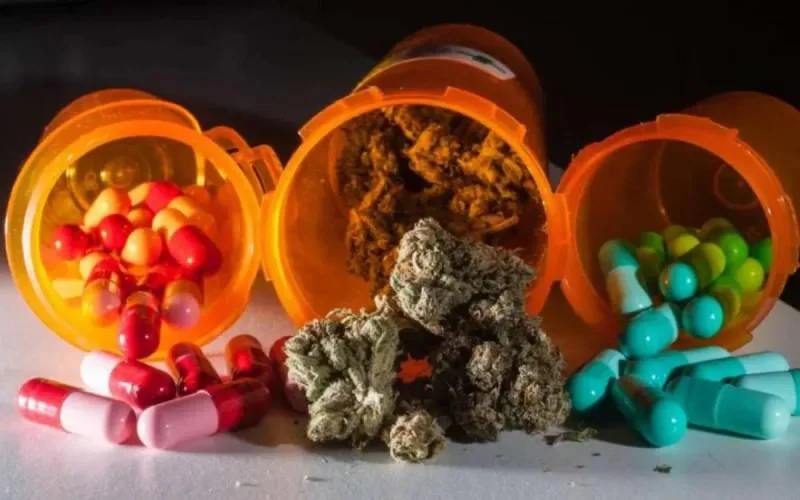 Le cannabis marocain attire des industriels américains