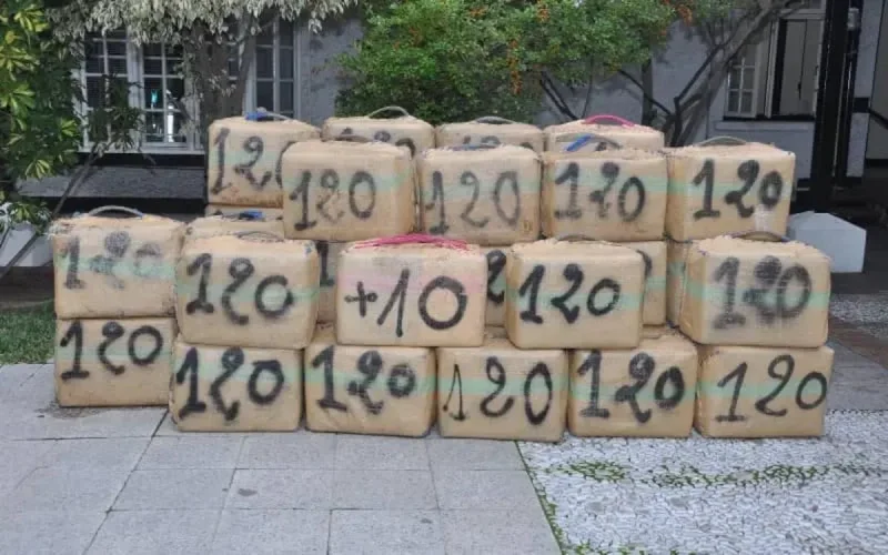 France : un réseau de trafic de cannabis marocain démantelé, 10 personnes condamnées