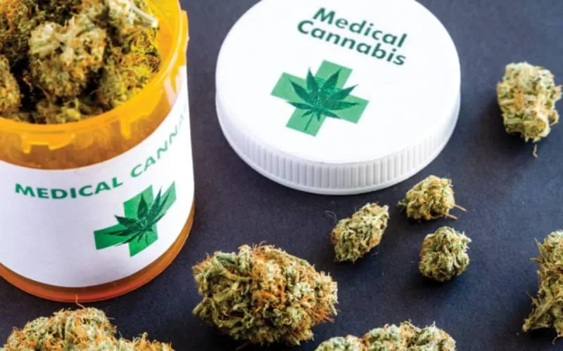 Légalisation du « cannabis médical » : une évolution majeure pour le Maroc
