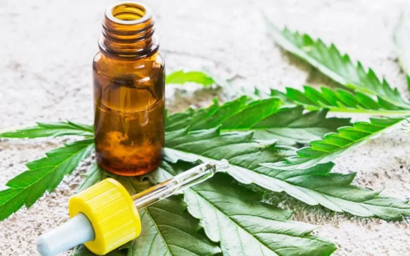 Cannabis : 86% des Marocains favorables à son usage thérapeutique