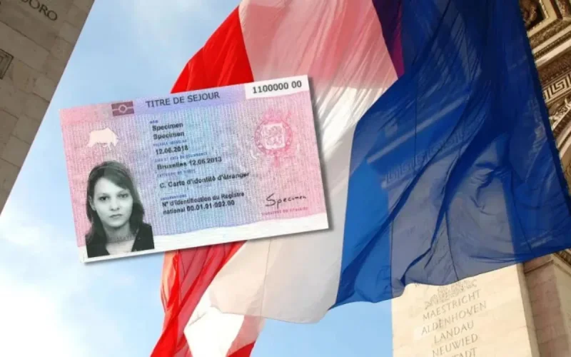 Régularisation des sans-papiers en France : une avocate brise les espoirs