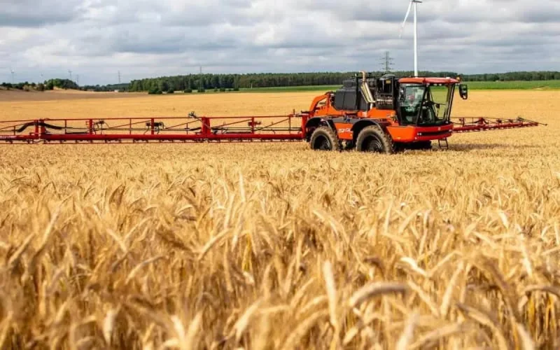Céréales : le Maroc se fournit en Amérique du Sud