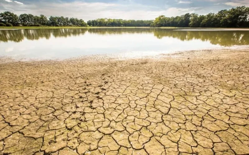 « En France, le climat sera proche de celui du Maroc d'ici quelques décennies »