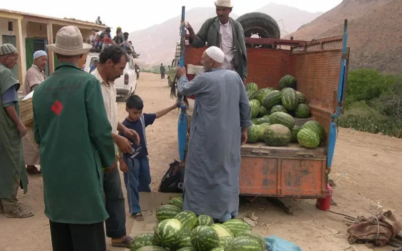 Maroc : appels à interdire la culture de la pastèque 