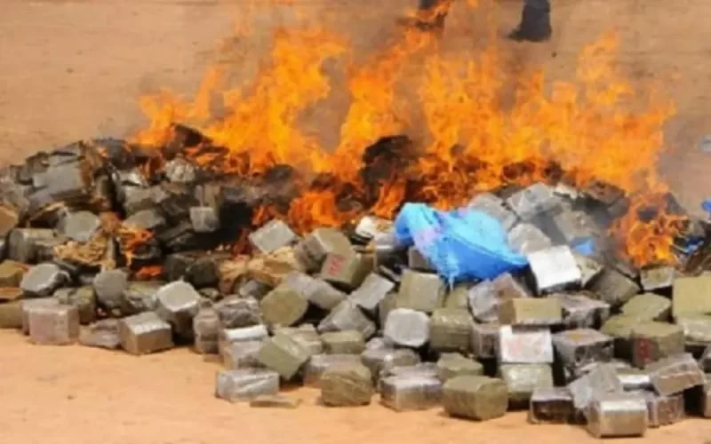 Dakhla : six tonnes de résine de cannabis parties en fumée
