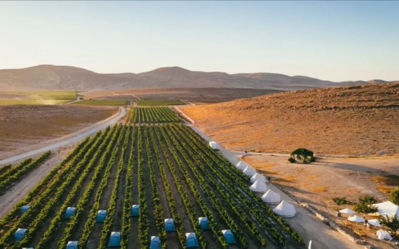 Le Sahara marocain transforme l'eau de mer en terres agricoles