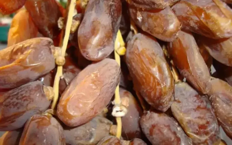 Des dattes algériennes frelatées et toxiques sur le marché marocain ? 
